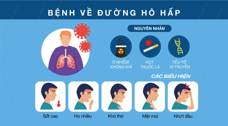 Bệnh về Hô Hấp Tại Cà Mau: Kết Nối Hội Chẩn Từ Xa Với Đại Học Y Dược TP.HCM