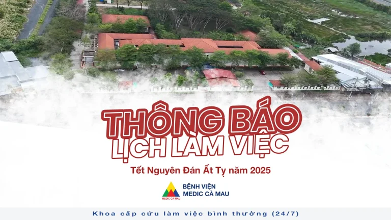Thông báo Lịch làm việc Tết Nguyên Đán Ất Tỵ 2025